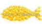 CAS 9000-70-8 물고기 피부 가늠자 식용 물고기 젤라틴 분말