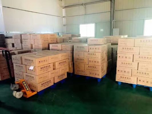 HACCP 가수분해 고흡수 순수 생선 인스턴트 콜라겐 펩타이드